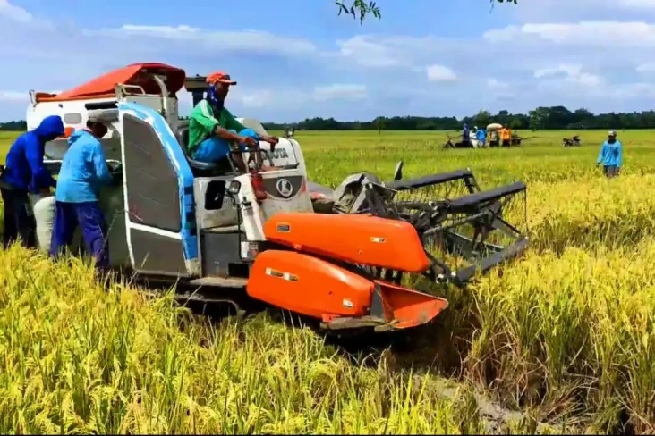 Banjir Beras Impor,...
