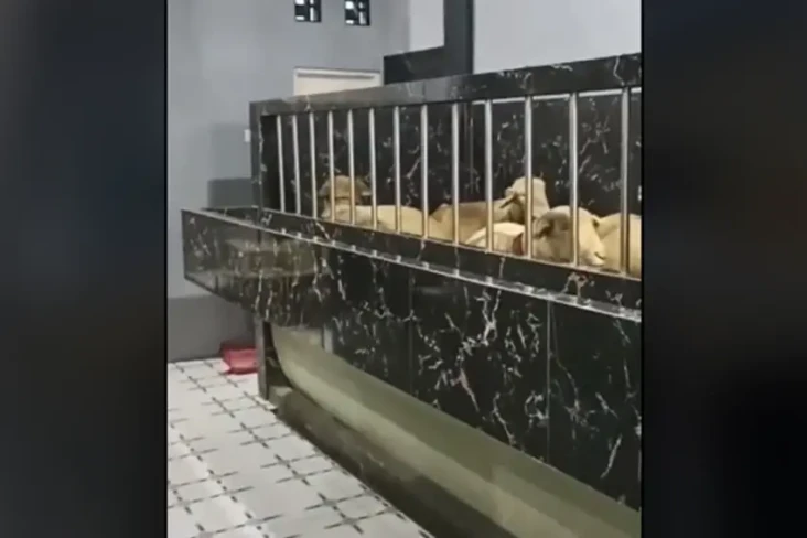 Viral! Ruang Tamu Rumah...