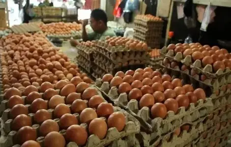 Bukan Hoaks, Telur Harganya...