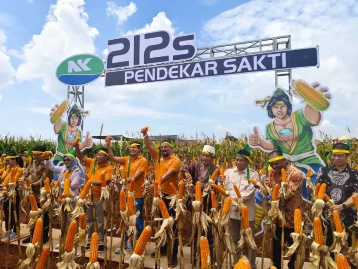 Syngenta Pasarkan NK...