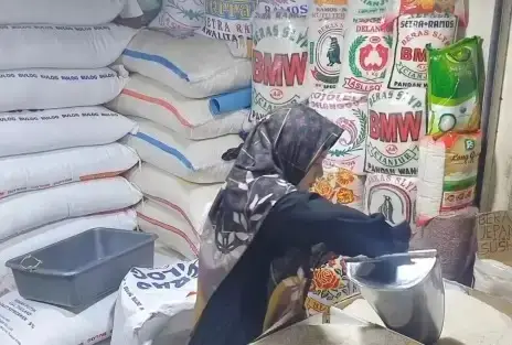 Harga Beras Terus Melejit...