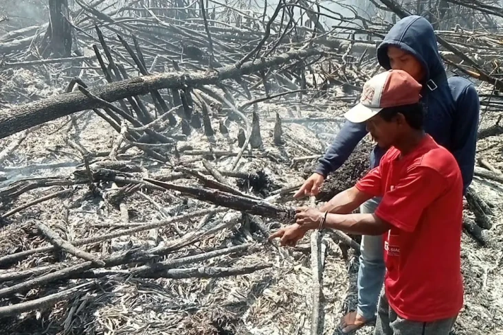 Bakar Lahan untuk Kebun...
