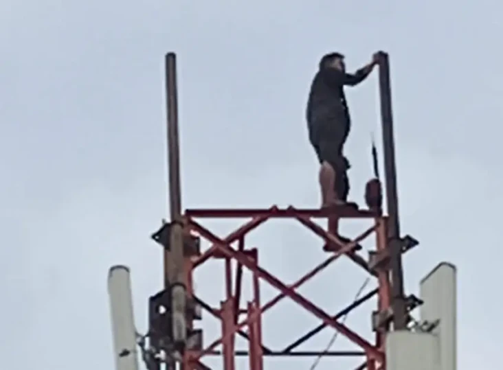 Heboh! ODGJ Panjat Tower...