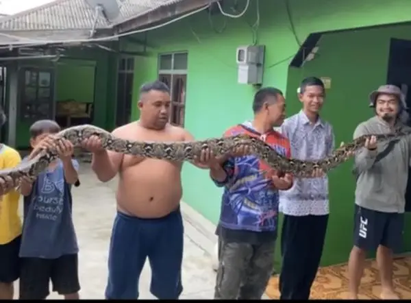 Melilit di Atap Rumah,...