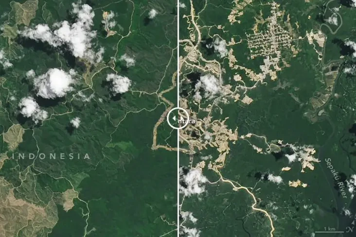 Foto NASA Ungkap Deforestrasi...