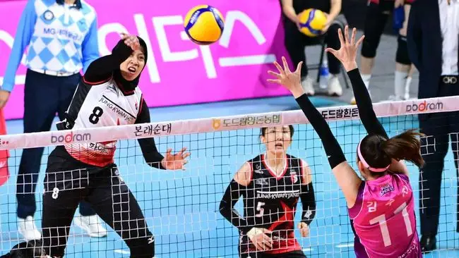 Ratu Voli Korea Selatan...