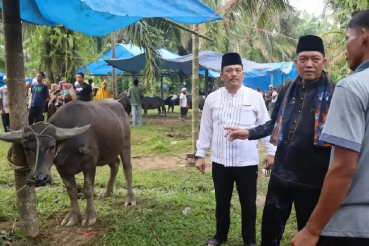 Intip Keseruan Festival...