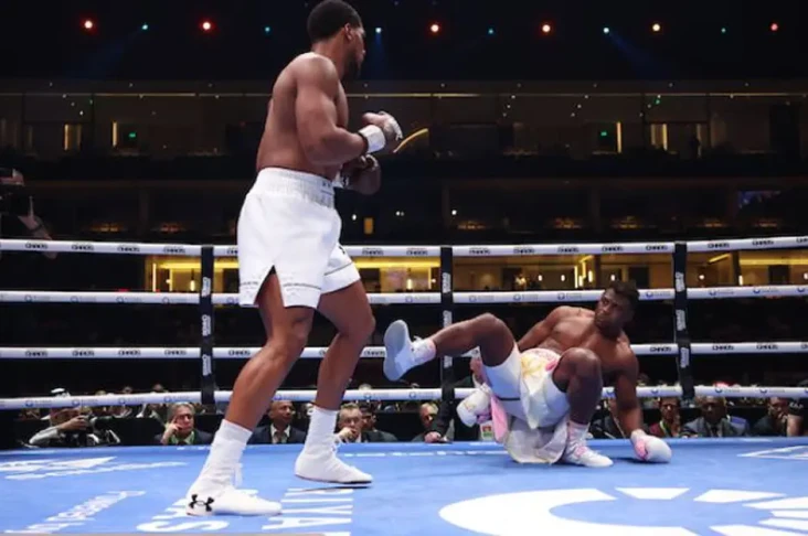 Anthony Joshua KO Francis...