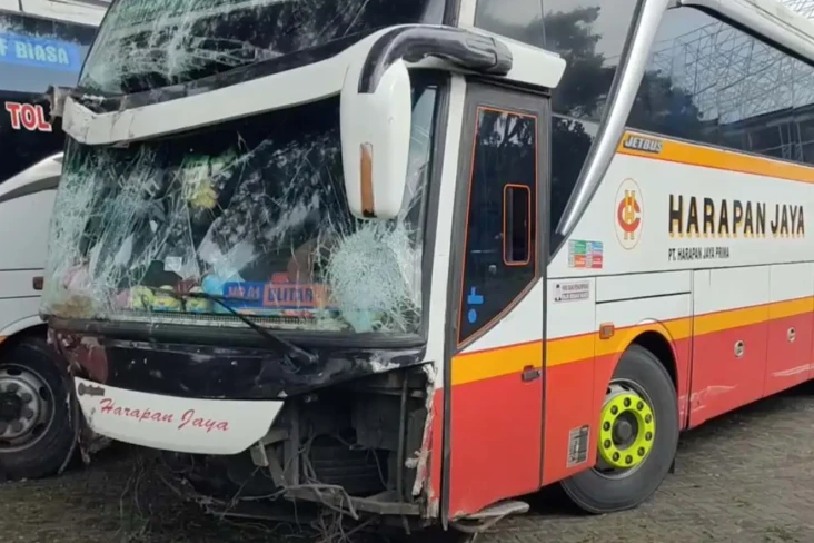 Adu Banteng Bus Harapan...