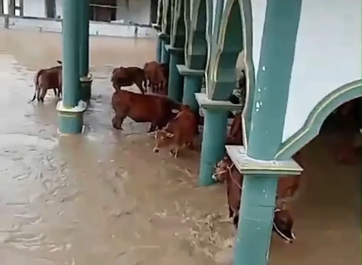 Banjir Rendam Sampang,...