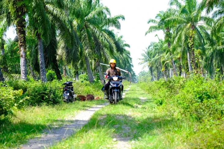 Dukung Lansekap Siak...