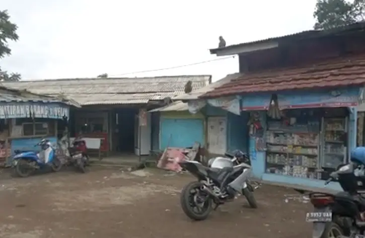 Diduga Kelaparan, Kawanan...