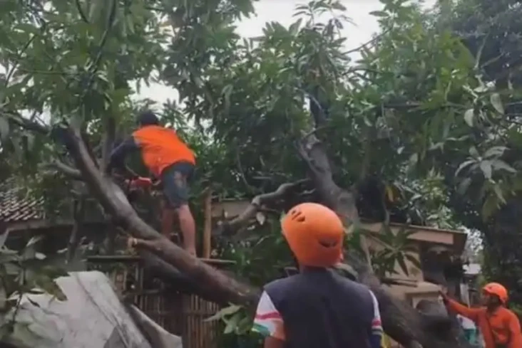 Diterjang Hujan Deras...
