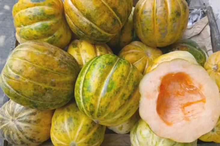 Segar Dibikin Es Buah...