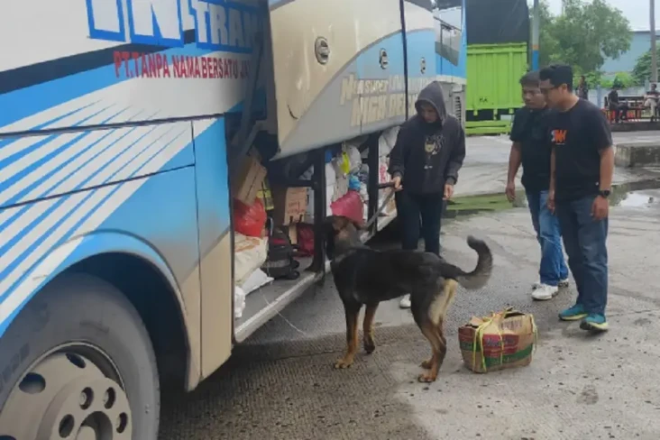 6 Anjing Pelacak K9...