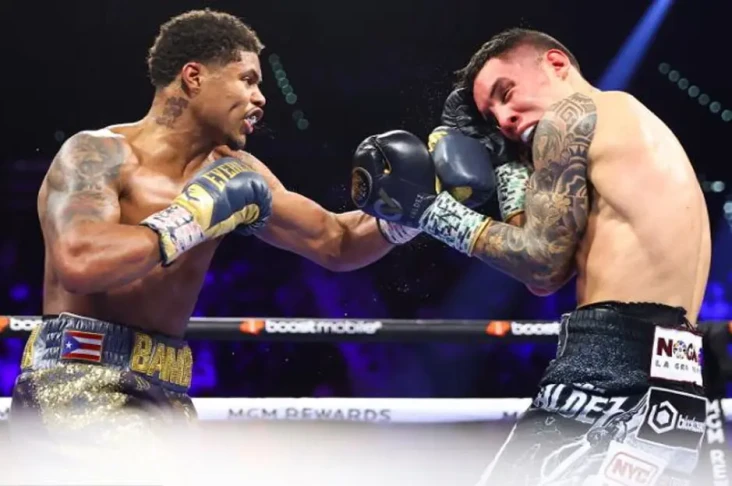 Shakur Stevenson Petinju...