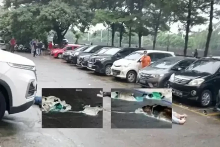 Tali Terikat Jadi Kunci...