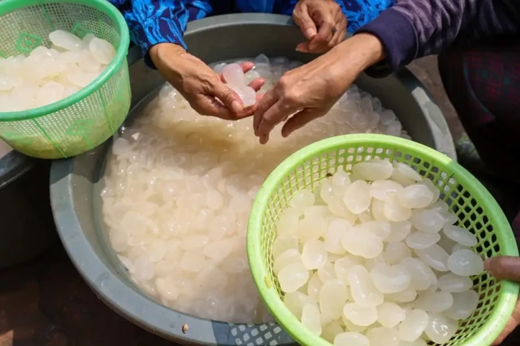 7 Manfaat Kolang Kaling...