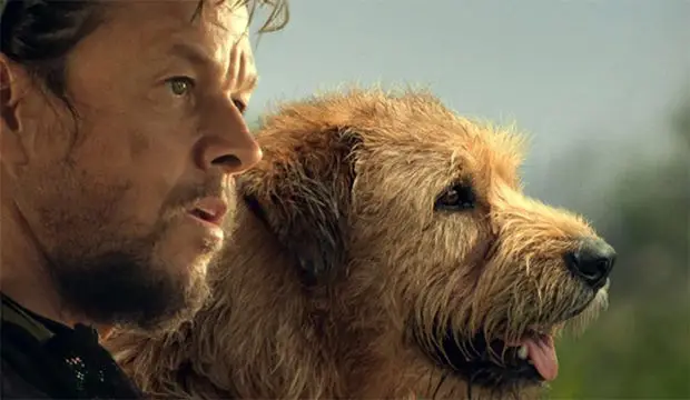 Review Film Arthur the...