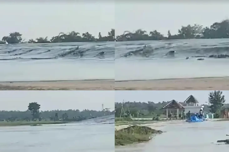 Diguncang Gempa Tuban,...