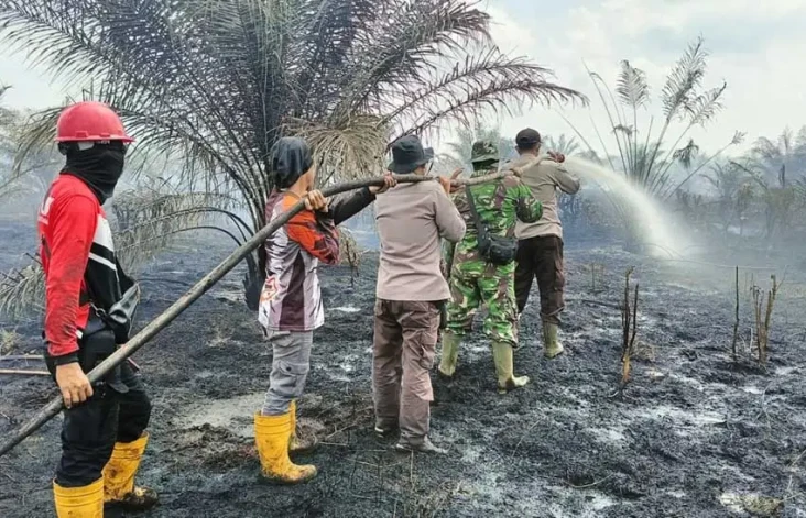 15 Hektare Lahan Kebun...