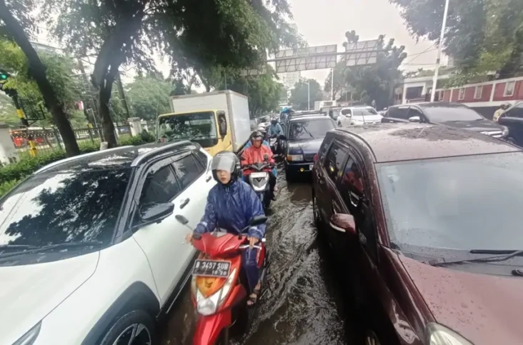 Usai Diguyur Hujan,...