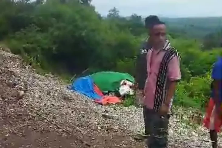 Jalan Trans Timor di...