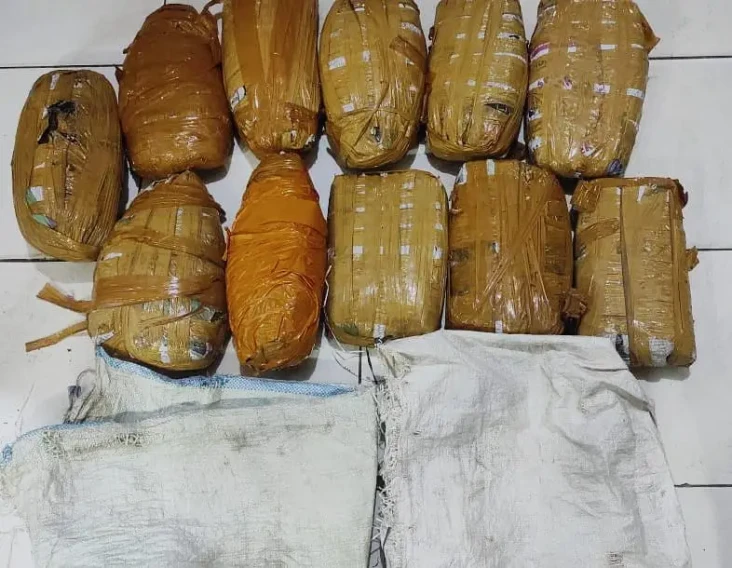 11 Kg Ganja Disita Polisi...