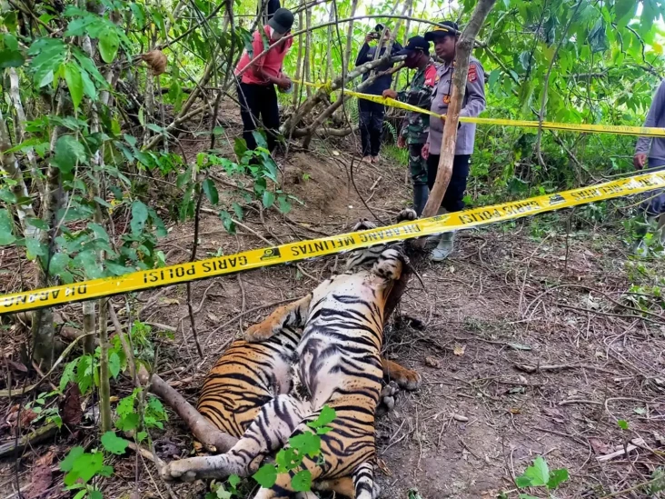 5 Fakta Mencengangkan...
