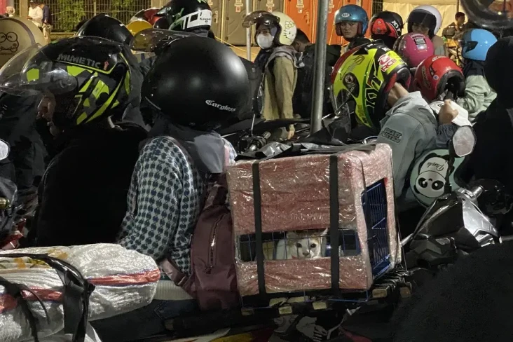 Tak Tega Ditinggal Sendiri,...