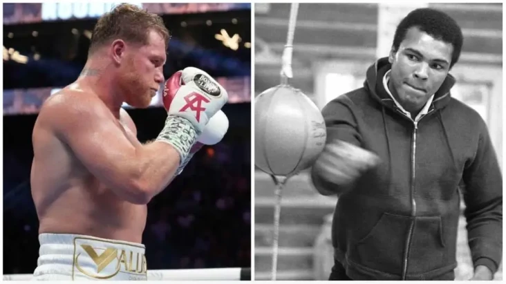 Canelo Dikecam Tak Hormati...