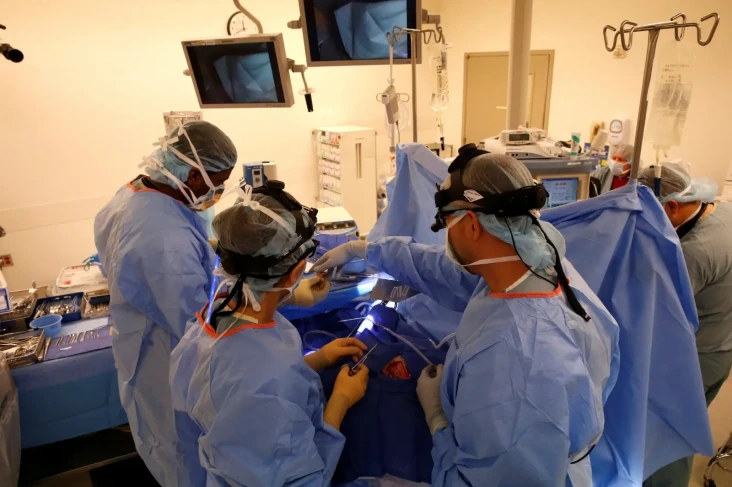 Operasi Transplantasi...