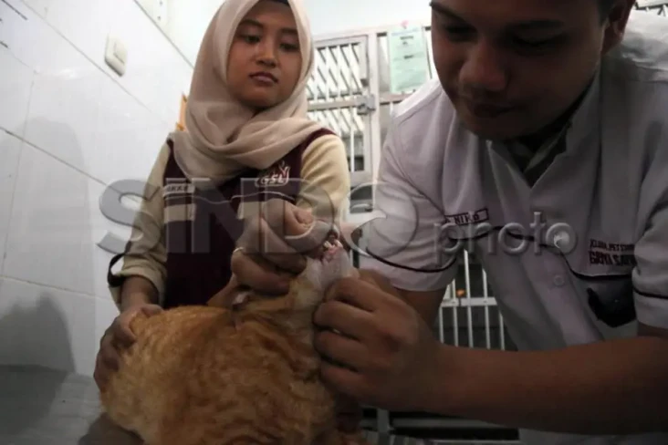 IPB Buka Penitipan Hewan...