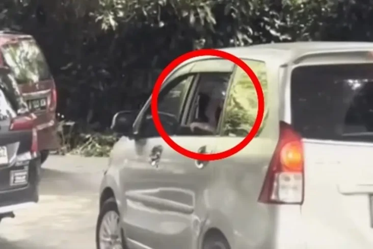 Viral Video Pengunjung...