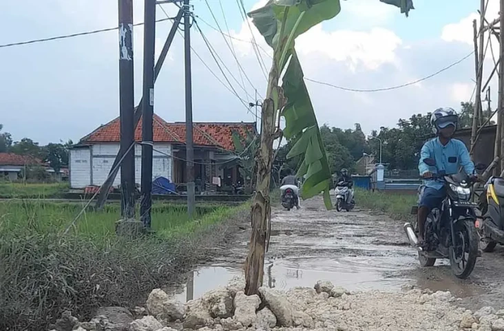 Viral Jalan Rusak di...