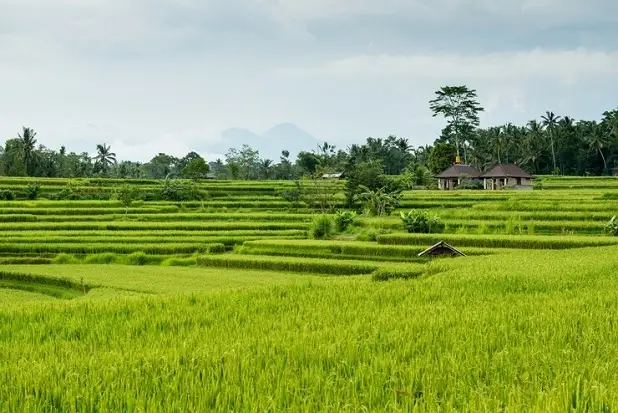 Jabar Akselerasi Perluasan...