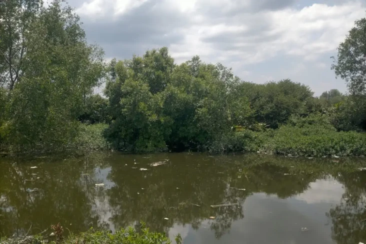 Viral Buaya Muara 3...