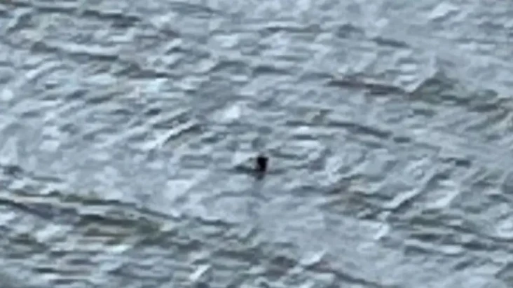 Monster Loch Ness Kembali...