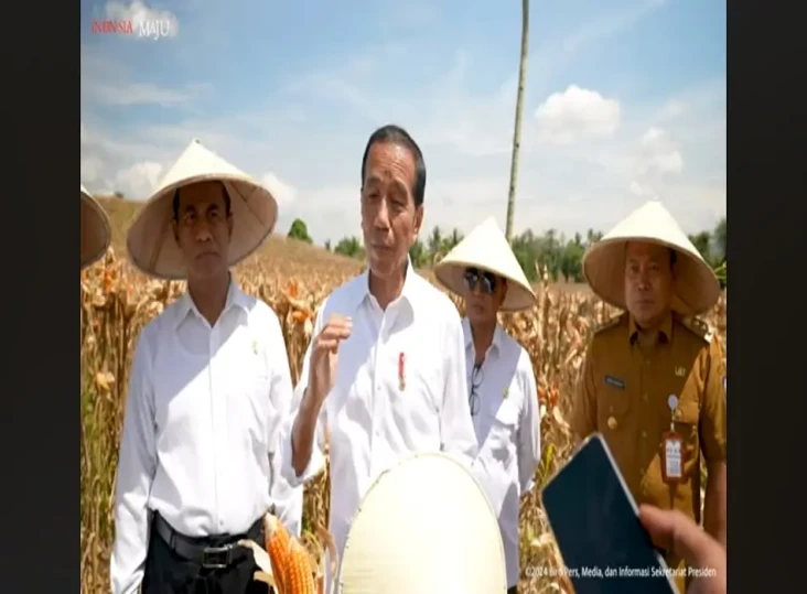 Sikapi Putusan Sengketa...
