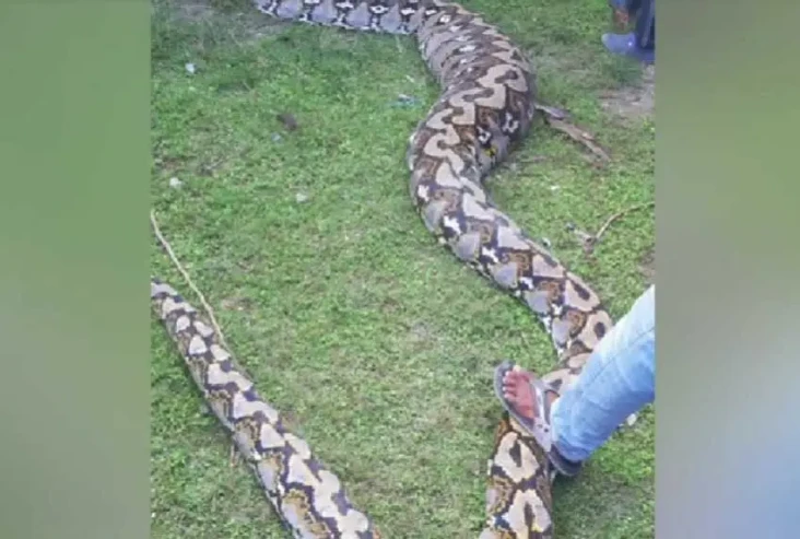 Warga Buton Tangkap...