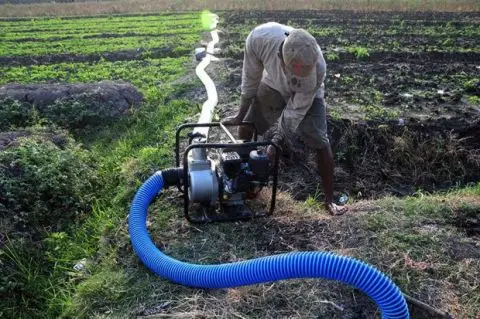 Genjot Produksi Beras,...