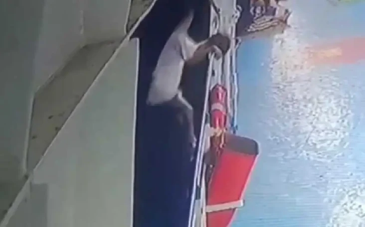 Viral! Video CCTV Merekam...