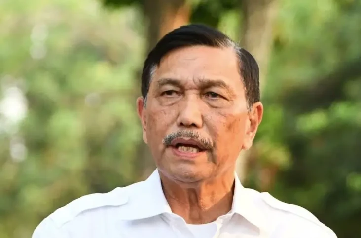 Dipimpin Luhut, Ini...