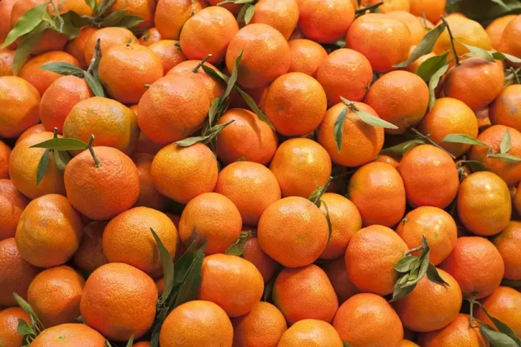 7 Buah yang Cepat Turunkan...