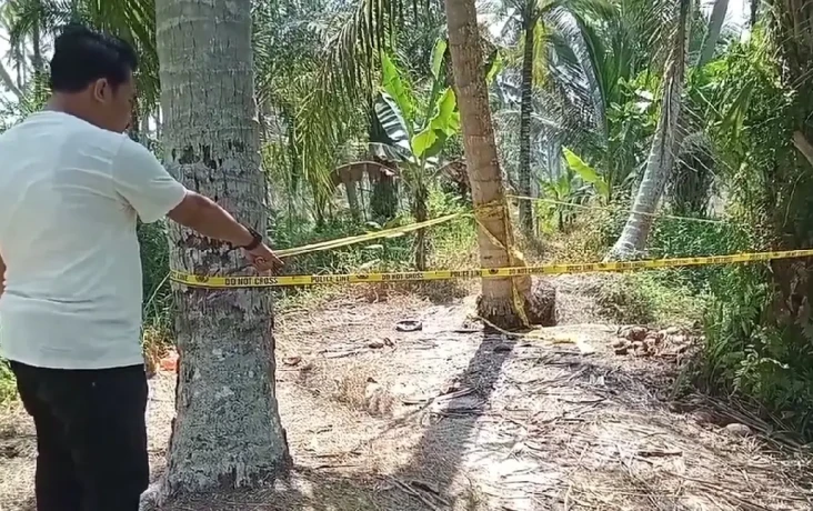 Diduga Diserang Beruk,...