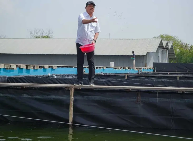 Melihat Budidaya Ikan...