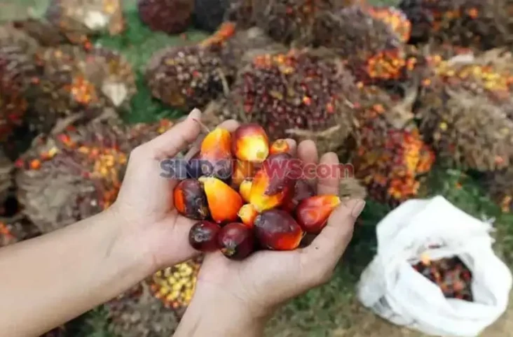 Marak Aduan Pencurian,...