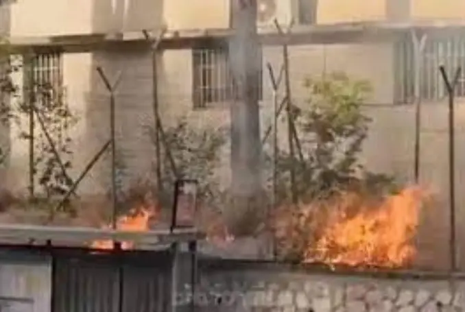 Pemukim Israel Bakar...