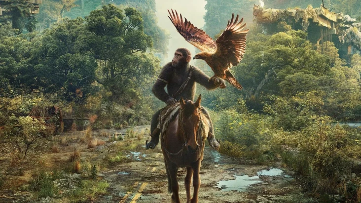 Urutan Nonton Film Franchise...