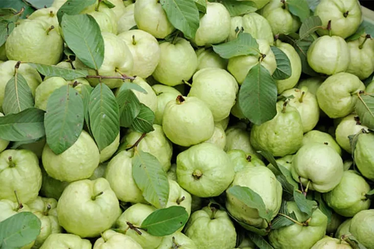 7 Buah Tinggi Protein...